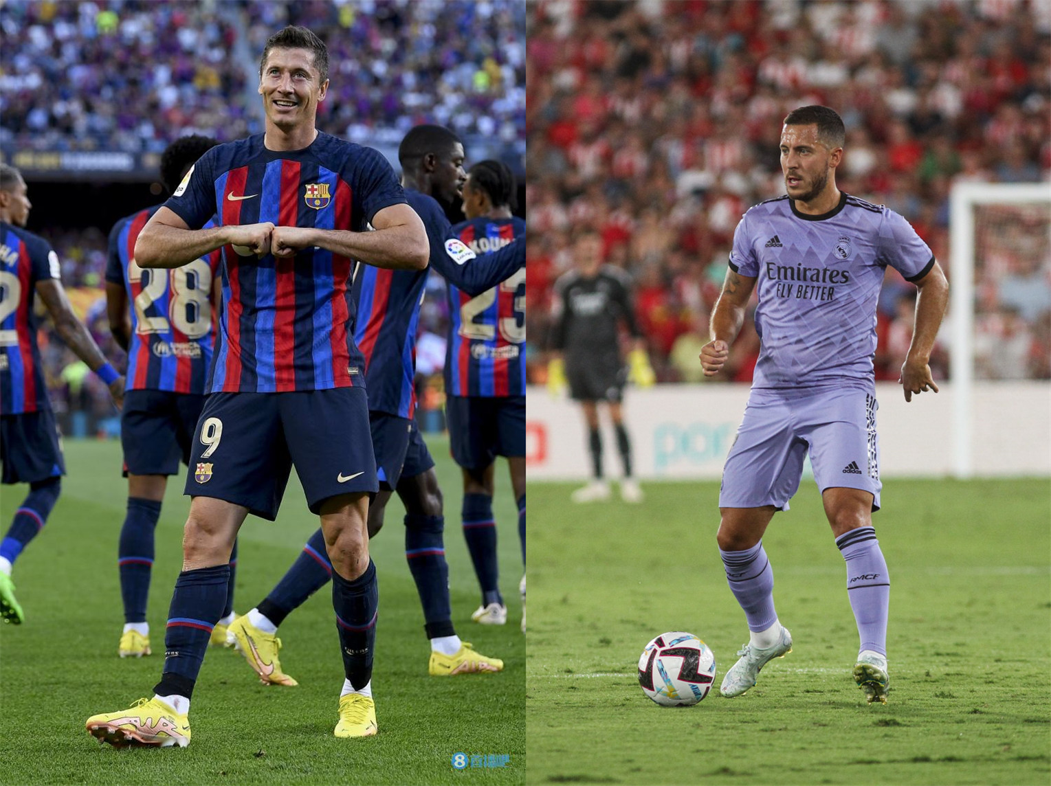 竟有哪些亮 竟有哪些亮